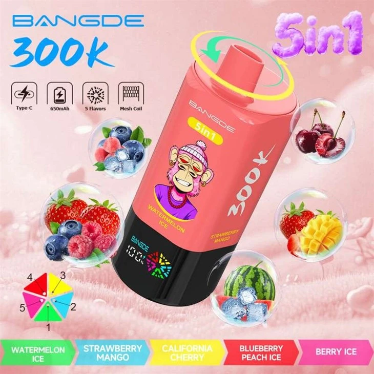 BANG DE 5in1 300K manufacturers BANG DE 5in1 300K manufacturers