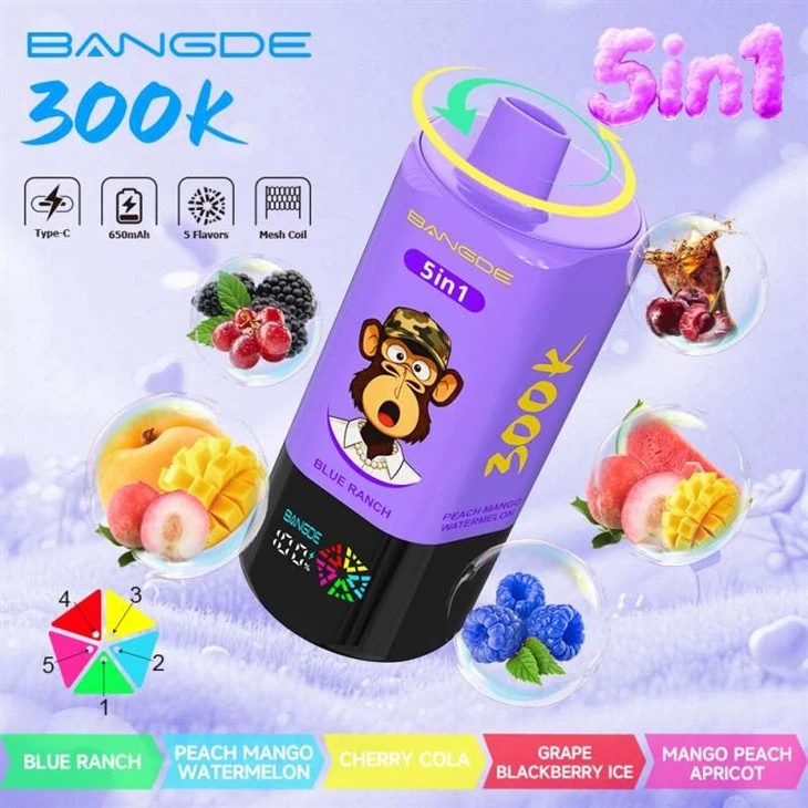 BANG DE 5in1 300K factory BANG DE 5in1 300K factory