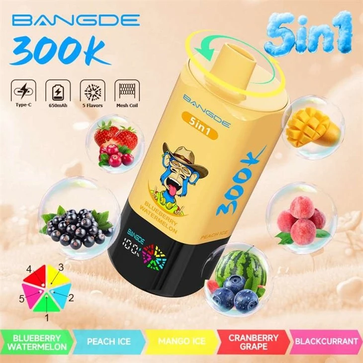 BANG DE 5in1 300K suppliers BANG DE 5in1 300K suppliers