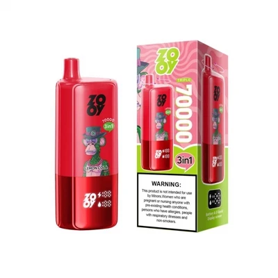 ZOOY TRIPLE 70000 Wprowadzenie techniczne i analiza strukturalna|Jednorazowe ...