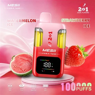 MESII WIDOCZNE BLIŹNIAKI 100K