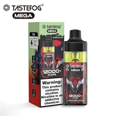 TASTEFOG MEGA 12000 Ptysiów