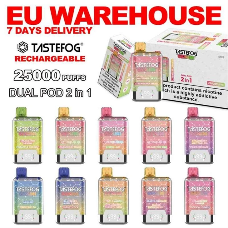 TASTEFOG GEMINI 25000 TASTEFOG GEMINI 25000